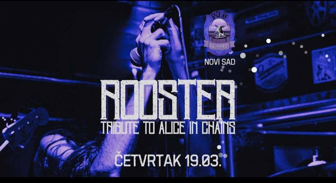 Rooster u Novom Sadu