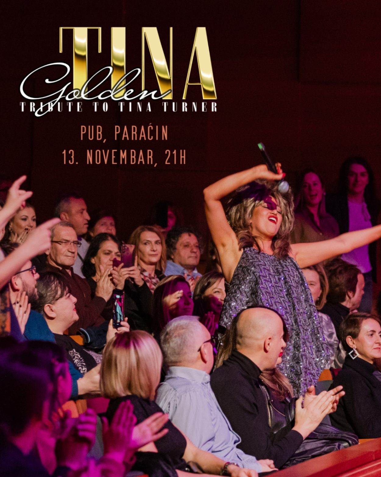 Golden Tina Tribute to Tina Turner Paracin